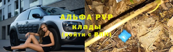 круглые Белокуриха